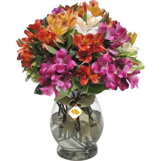 Arranjo Alstroemerias Mix | Vaso Vidro