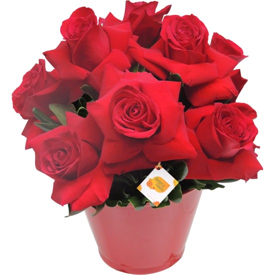 Arranjo Paixão de Rosas Colombianas Vermelhas