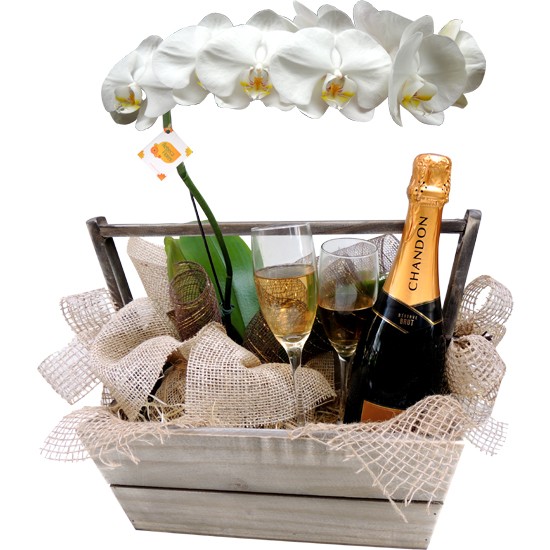 Cesta Orquídea Branca e Chandon 750ml