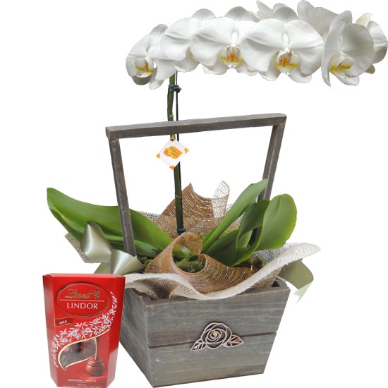 Orquídea Branca e Chocolate Lindt Lindor 75g