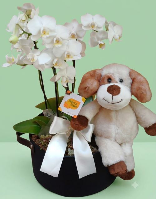 Mini Orquídea Phalaenopsis Dupla Branca com Bicho de Pelúcia