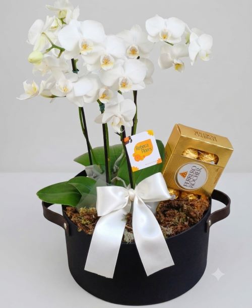 Duas mini Orquídeas Branca e Chocolate Ferrero Rocher