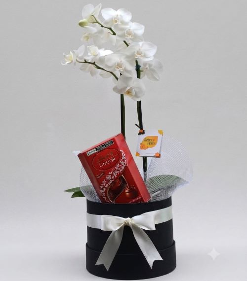 Mini Orquídea no Box Preto com Chocolates Lindt 75g