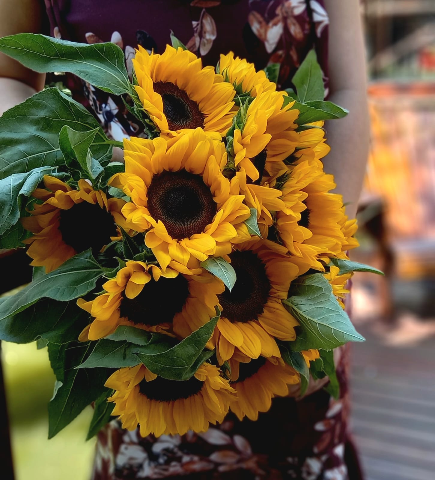 🌻 Girassóis | Rebeca Flores